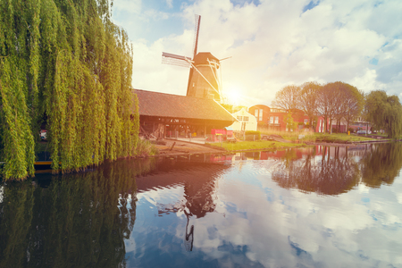 traditional Netherlands Holland dutch scenery with one typical windmill and tulips, Netherlands countrysideの写真素材