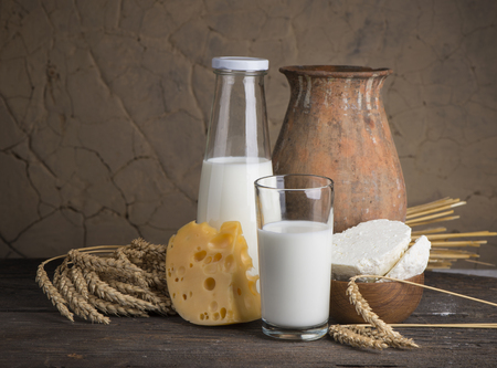 Protein products: cheese, cream, milk, eggs. On a white background.の写真素材