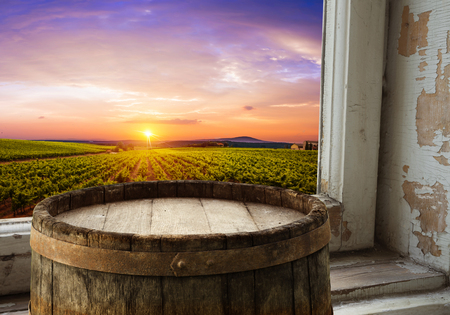 Red wine with barrel on vineyard in green Tuscany, Italyの写真素材
