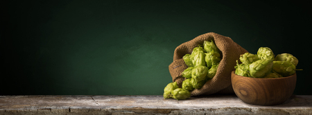 Still life with a keg of beer and hops.