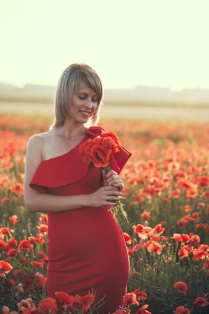 beautiful girl in a poppy field at sunsetの写真素材