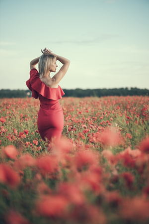 beautiful girl in a poppy field at sunsetの写真素材
