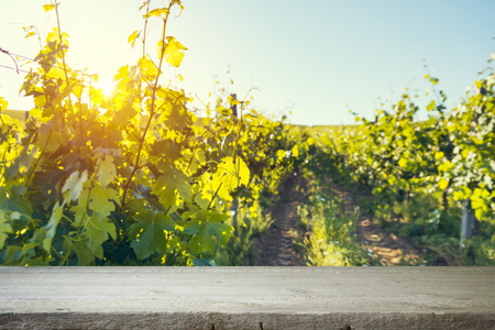 Red wine with barrel on vineyard in green Tuscany, Italyの写真素材