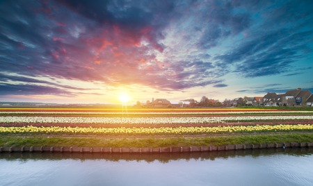 Amsterdam canal at sunset. Amsterdam is the capital and most populous city in Netherlands.の写真素材