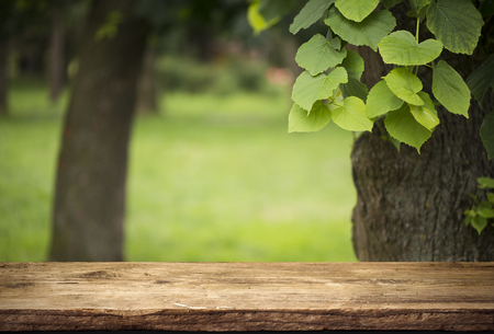 Wood floor with blurred trees of nature park background and summer season, product display montage.の写真素材