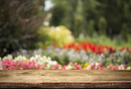 Wood floor with blurred trees of nature park background and summer season, product display montage.の写真素材