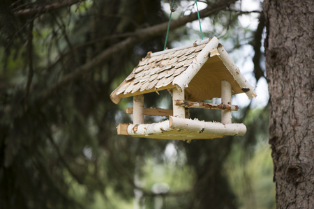 Bird feeders made in form of house and Titmouse eating feed, autumn outdoor.の写真素材