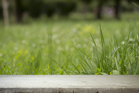 Wood floor with blurred trees of nature park background and summer season, product display montage.の写真素材