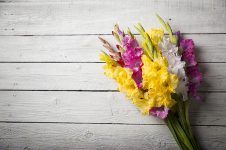 Beautiful gladiolus on wooden backgroundの写真素材