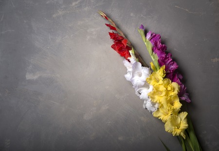 Beautiful gladiolus on wooden backgroundの写真素材