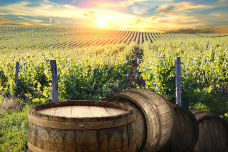 Red wine with barrel on vineyard in green Tuscany, Italyの写真素材