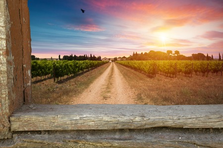 Red wine with barrel on vineyard in green Tuscany, Italyの写真素材