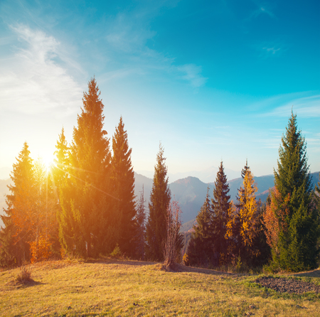 Colorful autumn landscape in the mountain village. Foggy morning in the Carpathian mountains. Sokilsky ridge, Ukraine, Europe.の写真素材