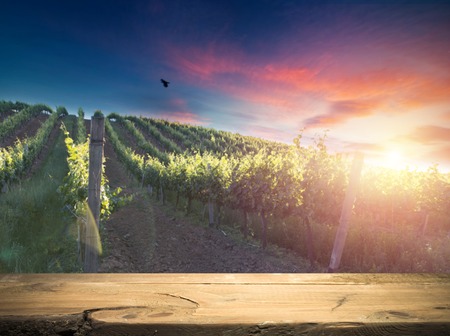 Red wine with barrel on vineyard in green Tuscany, Italy