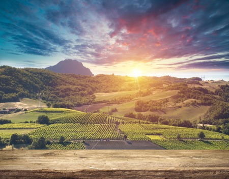Red wine with barrel on vineyard in green Tuscany, Italy