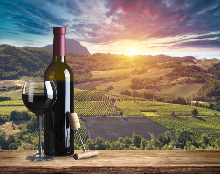 Red wine with barrel on vineyard in green Tuscany, Italyの写真素材