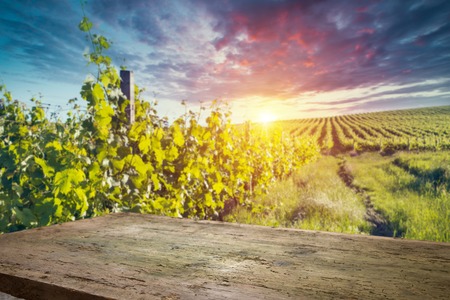 vineyard at sunset in the Chianti region in Italy and table of wood spaceの写真素材