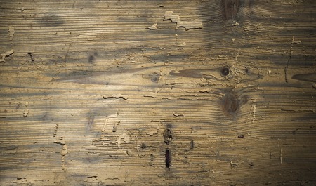 Invoice of old tree from boards board, dark