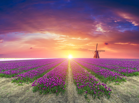 The road leading to the Dutch windmills from the canal in Rotterdam. Holland. Netherlandsの写真素材
