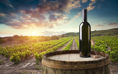 Red wine with barrel on vineyard in green Tuscany, Italyの写真素材
