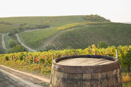 Red wine with barrel on vineyard in green Tuscany, Italy