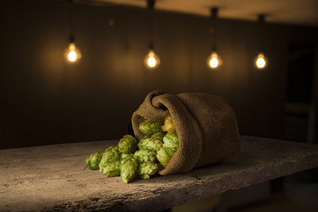 Still Life with a keg of beer and draft beer by the glass.の写真素材