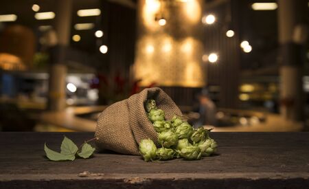 Beer brewing ingredients Hop in bag and wheat ears on wooden cracked old table. Beer brewery concept. Hop cones and wheat closeup. Sack of hops and sheaf of wheat on vintage background.の写真素材