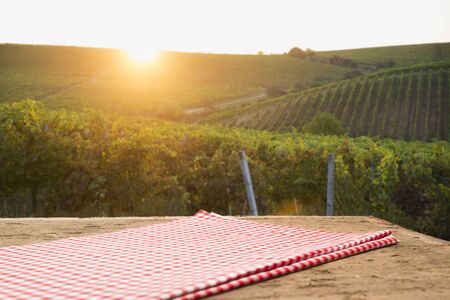 Ripe wine grapes on vines in Tuscany, Italy. Picturesque wine farm, vineyard. Sunset warm light.の写真素材