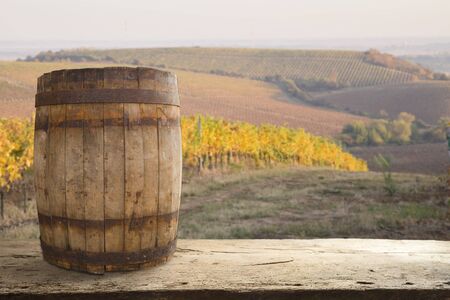 Red wine with barrel on vineyard in green Tuscany, Italyの写真素材