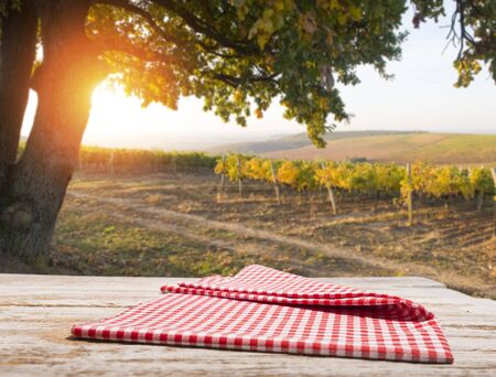 Red wine with barrel on vineyard in green Tuscany, Italyの写真素材