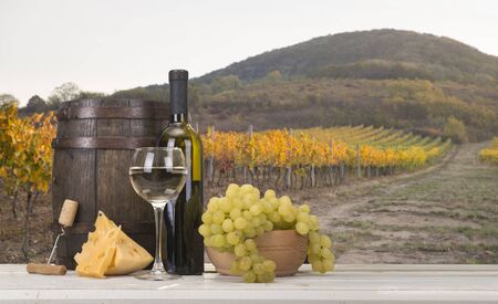 Red wine with barrel on vineyard in green Tuscany, Italy