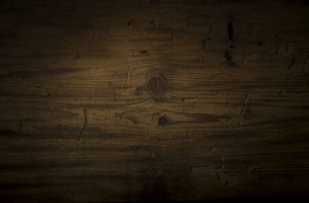 texture of bark wood use as natural backgroundの写真素材