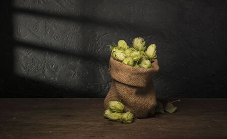 Green hops, malt, ears of barley and wheat, ingredients to make beer and bread, agricultural background.の写真素材