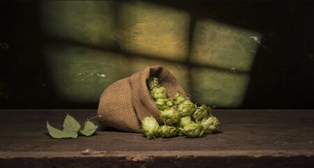 Fresh green hops on a wooden tableの写真素材