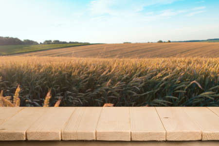 Empty wooden deck table over wheat field with sunset or sunrise. Ready for product montageの写真素材