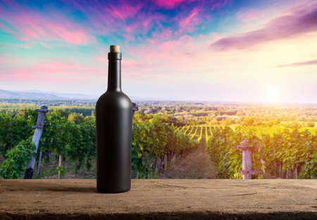 corkscrew and wooden barrel, vineyard on backgroundの写真素材
