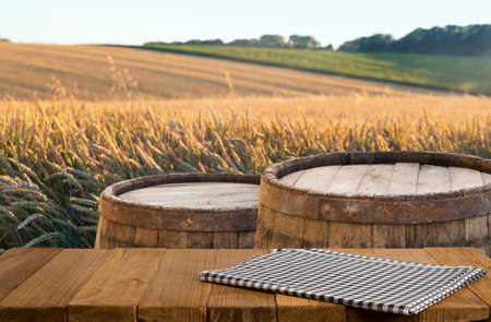 Glasses of light beer with barley and the plantations background.