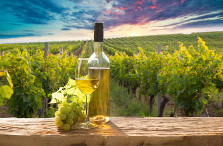 A fresh chilled glass of ice wine overlooking a Canadian vineyard during a Summer sunsetの写真素材