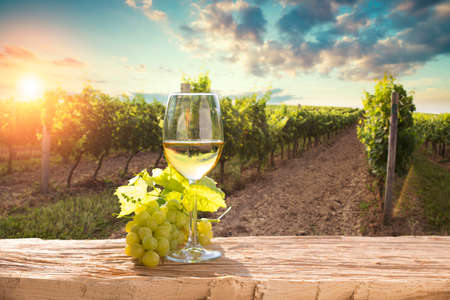 A fresh chilled glass of ice wine overlooking a Canadian vineyard during a Summer sunsetの写真素材