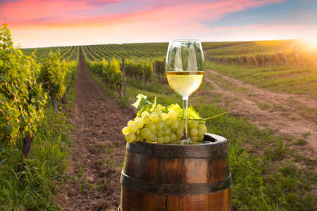 A fresh chilled glass of ice wine overlooking a Canadian vineyard during a Summer sunsetの写真素材