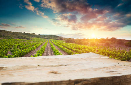spring landscape of green tuscany and table place texture