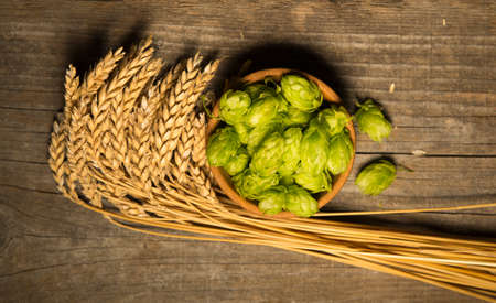 Beer. Still life with Vintage beer barrel and glass light beer. Fresh amber beer concept. Green hop and gold barley on wooden table. Ingredients for brewery. Brewing traditionsの写真素材