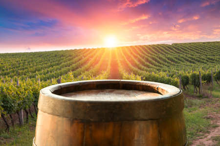 Chianti vineyard landscape in Tuscany, Italy fieldの写真素材