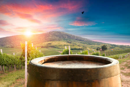 Chianti vineyard landscape in Tuscany, Italy fieldの写真素材