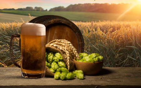 Beer. Still life with Vintage beer barrel and glass light beer. Fresh amber beer concept. Green hop and gold barley on wooden table. Ingredients for brewery. Brewing traditionsの写真素材