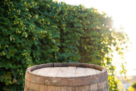 Still life with a keg of beer and hops.