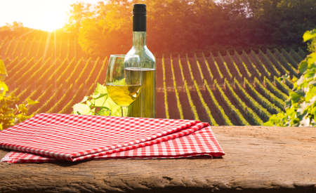 At a winery in Tuscany in the Chianti region for a wine tastingの写真素材