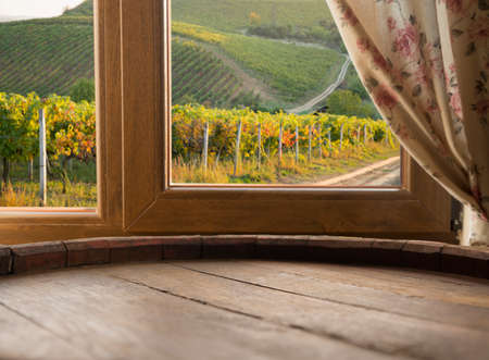 Red wine with barrel on vineyard in green Tuscany, Italyの写真素材