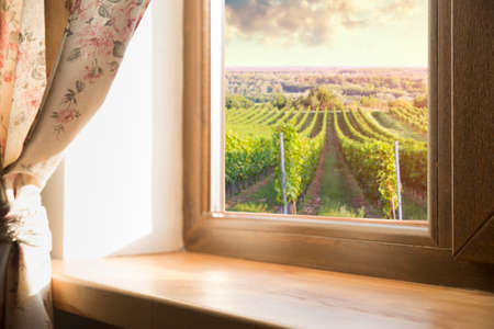 Red wine with barrel on vineyard in green Tuscany, Italyの写真素材