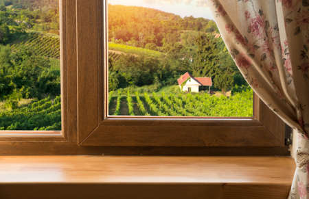 Red wine with barrel on vineyard in green Tuscany, Italyの写真素材